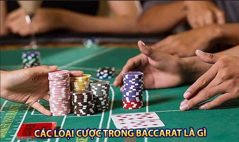 Các loại cá cược trong Baccarat là gì?