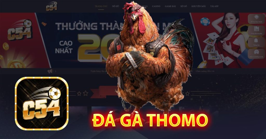 Đá gà thomo