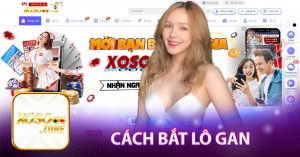 cách bắt lô gan