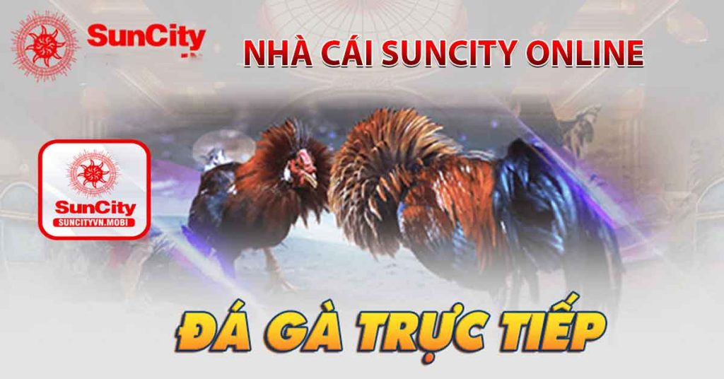 Nhà cái Suncity online uy tín hàng đầu thị trường hiện nay